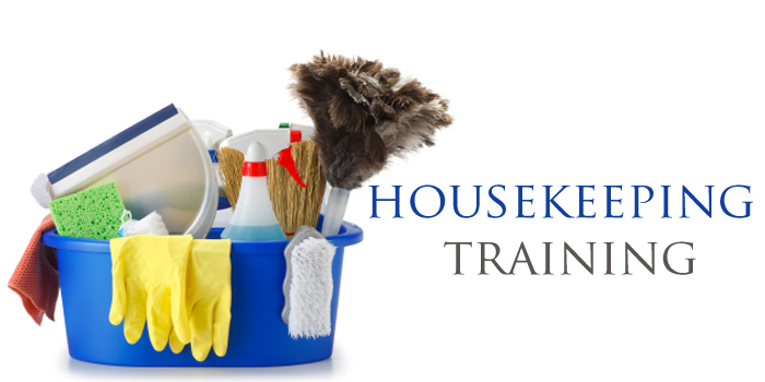 Picture of housekeeping training